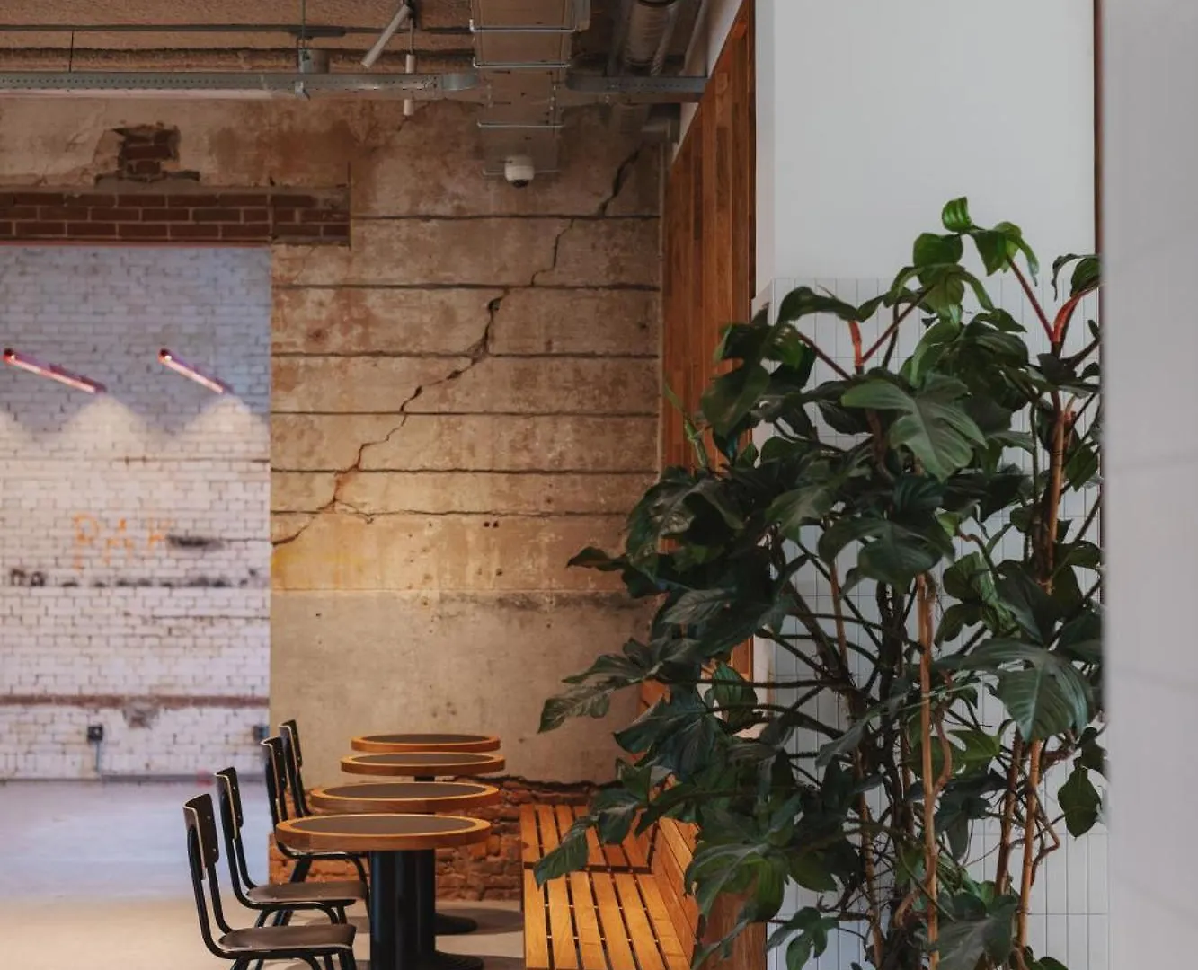 Man Met Bril Koffie Hotel Rotterdam Netherlands